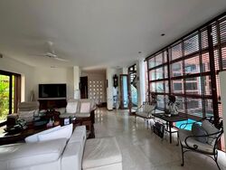 Shamrock Park (D10), Detached #608116411